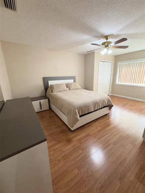 4236 Balington Drive, Valrico FL - photo 11 of 20