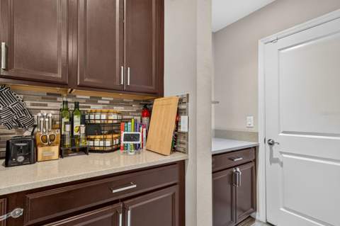 6717 Citrus Creek Lane, Tampa FL - photo 10 of 33