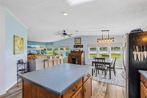 24941 Pine Hill, Leesburg FL - photo 8 of 26