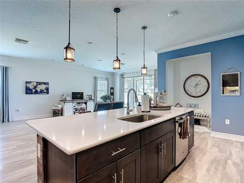 30980 Jazz Leaf Place, San Antonio FL - photo 15 of 50