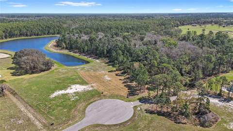 20280 Shoreline Ranch Lane, Umatilla FL - photo 10 of 15