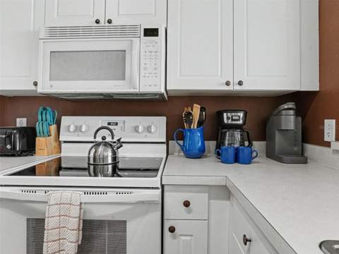 2326 Silver Palm Dr, Kissimmee FL - photo 9 of 45