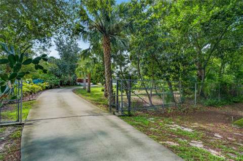 207 N Levis Avenue, Tarpon Springs FL - photo 6 of 6