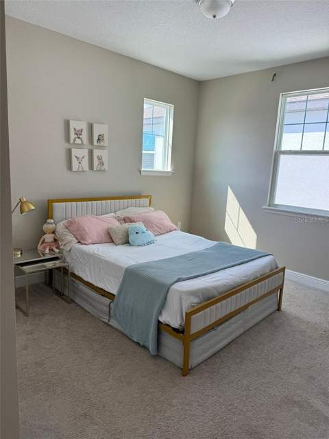 14739 Glade Hill Park Way, Winter Garden FL - photo 14 of 21