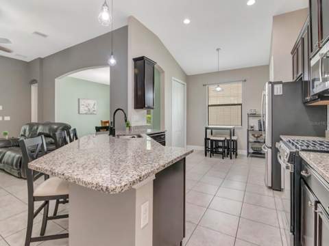 8213 Summer Brook Court, Land O Lakes FL - photo 21 of 40