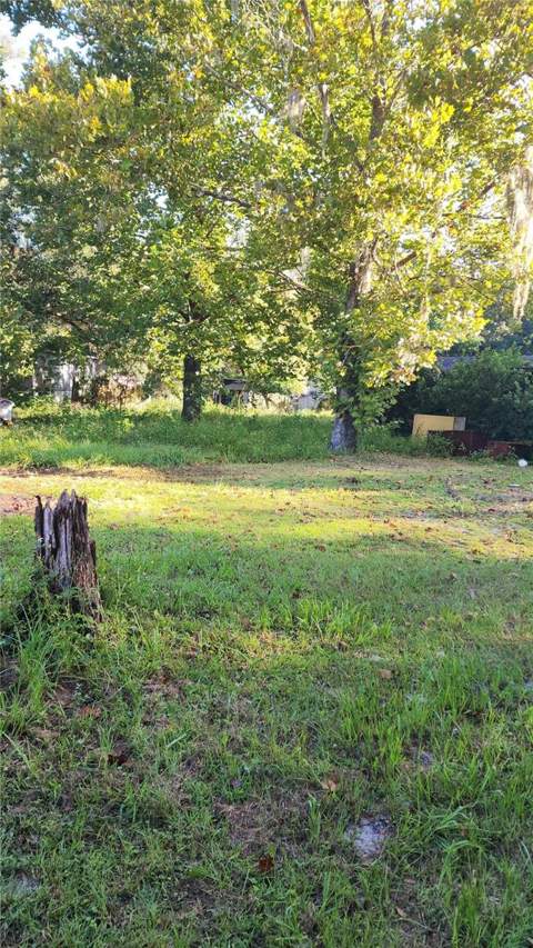 3517 N US Highway 17, Deland FL - photo 6 of 6