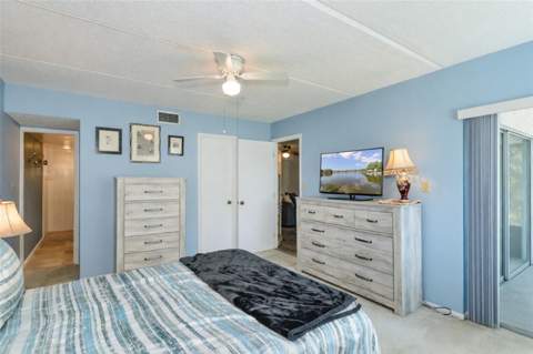 207 Cypress Lane, Oldsmar FL - photo 14 of 25