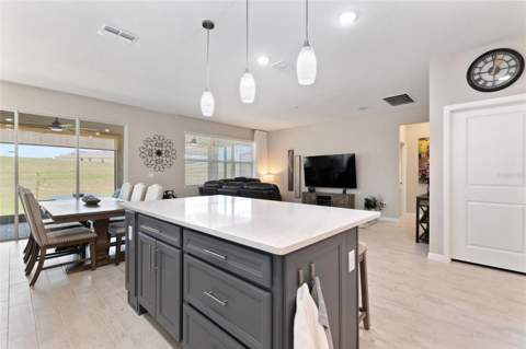 1333 Zesty Citrus Ln, Minneola FL - photo 9 of 59