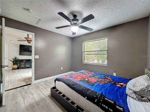 31427 Ghent Avenue, Mount Plymouth FL - photo 12 of 19