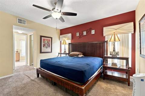 2915 Blooming Alamanda Loop, Kissimmee FL - photo 15 of 31