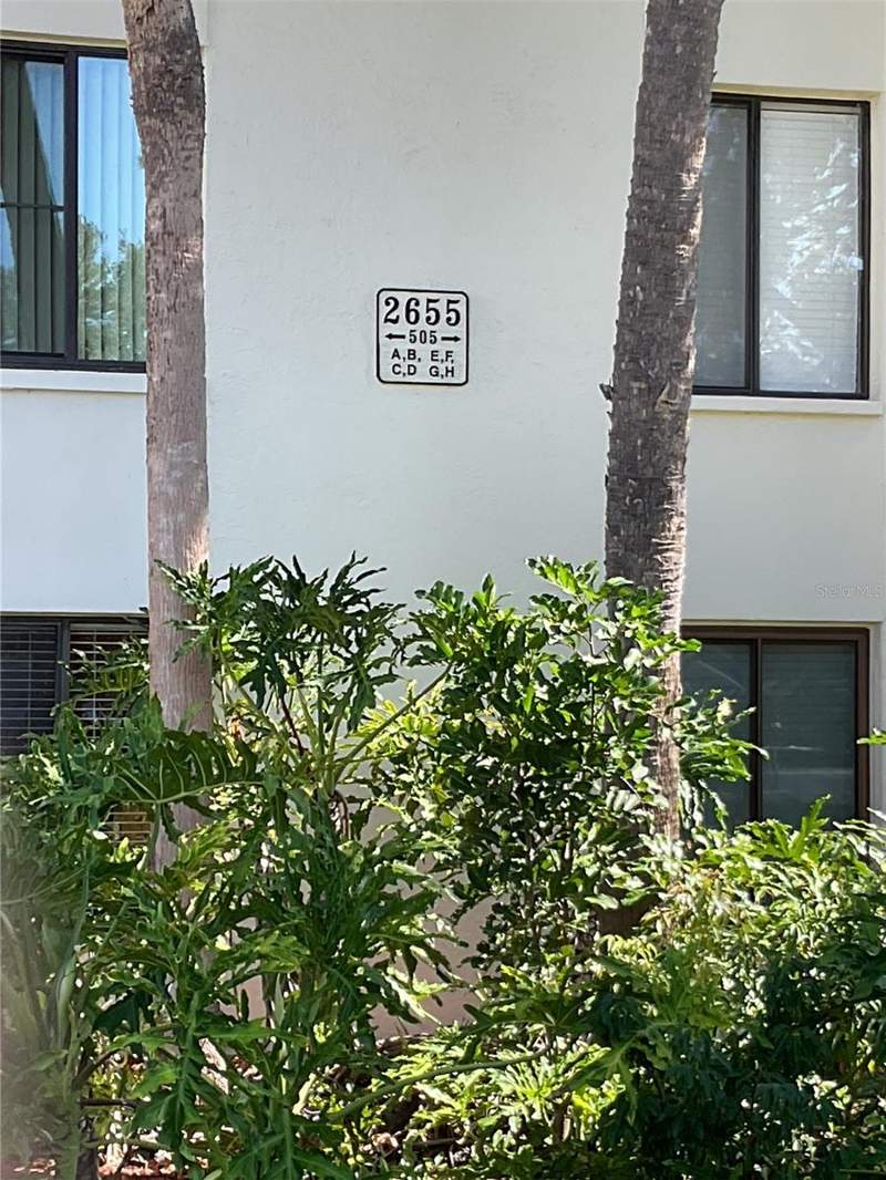 2 bedroom Condominium at 2655 Pine Ridge Way #D3, Pine Ridge At Palm Harbor, Palm Harbor — photo 3