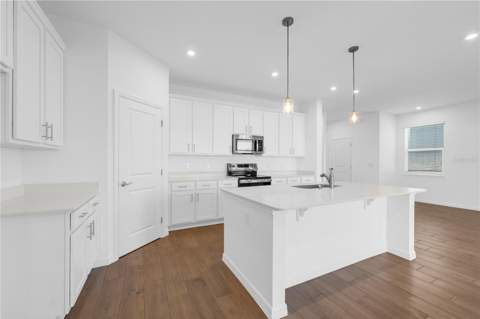 3501 Salvia Court, Tavares FL - photo 11 of 58