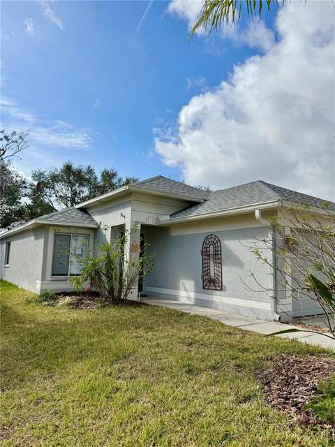 10431 Isleworth Avenue, home for sale in Tampa 33647