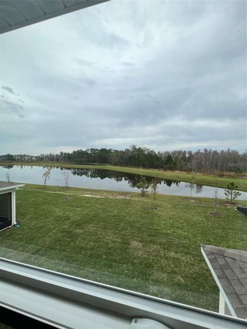 17575 Saw Palmetto Avenue, Clermont FL - photo 24 of 48