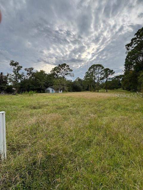 21103 Reindeer Road, Christmas FL - photo 15 of 24