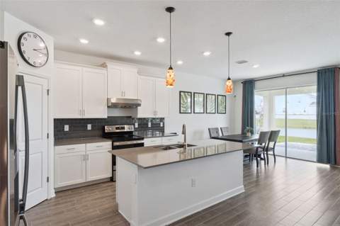 3373 Wauseon Drive, St Cloud FL - photo 8 of 60