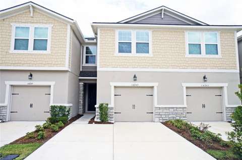 14243 Damselfly Drive, home for sale in Tampa 33625