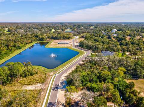 682 Bottlebrush Way, Tarpon Springs FL - photo 6 of 6
