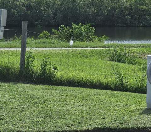 603 Canal Way, Oldsmar FL - photo 6 of 58