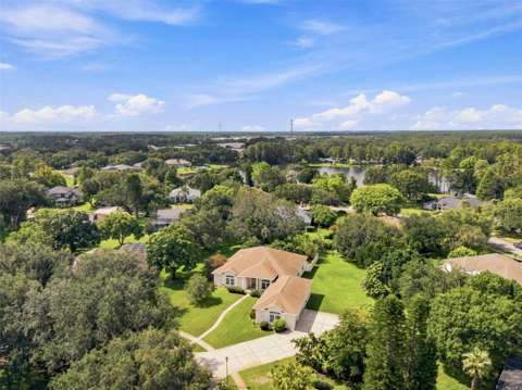 13750 Dowling Lane, home for sale in Odessa 33556