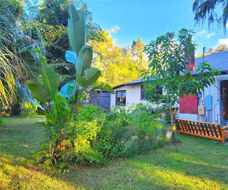 2 bedroom Single Family Residence at 7805 N 12th Street, Sulphur Spgs Add, Tampa — photo 3