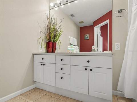 2326 Silver Palm Dr, Kissimmee FL - photo 17 of 45
