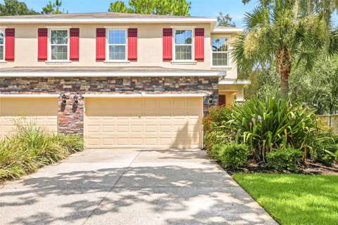 13105 Canopy Creek Drive, home for sale in Tampa 33625