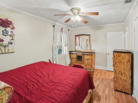 315 W 11th Avenue, Mount Dora FL - photo 12 of 31