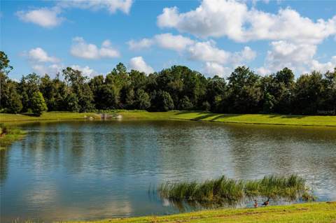 36077 Stable Wilk Avenue, Zephyrhills FL - photo 20 of 40