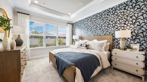 3867 Fraccareta Way, Wesley Chapel FL - photo 8 of 32