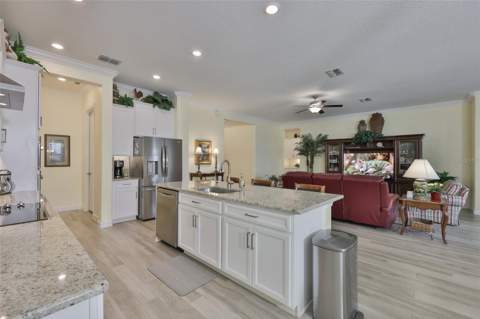 16955 Scuba Crest Street, Wimauma FL - photo 12 of 59