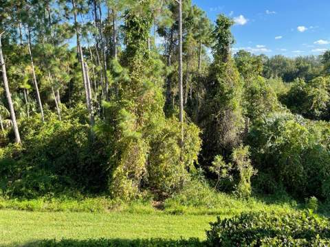 3153 Capri Isle Way, Orlando FL - photo 15 of 39