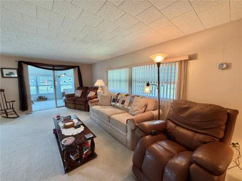 223 Hawthorne Boulevard, Leesburg FL - photo 8 of 47