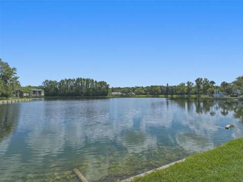 3101 Lake Pine Way #A1, Tarpon Springs FL - photo 17 of 50