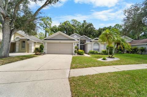 9720 Fredericksburg Road, home for sale in Tampa 33635