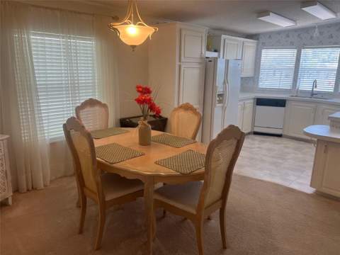 12 Thatch Palm Street, Largo FL - photo 11 of 29