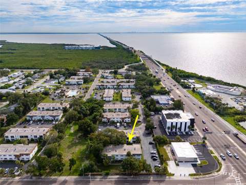 341 S McMullen Booth Road #147, Clearwater FL - photo 21 of 24