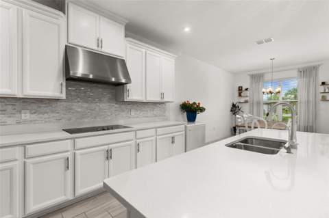 3855 Bowfin Trail, Kissimmee FL - photo 17 of 87