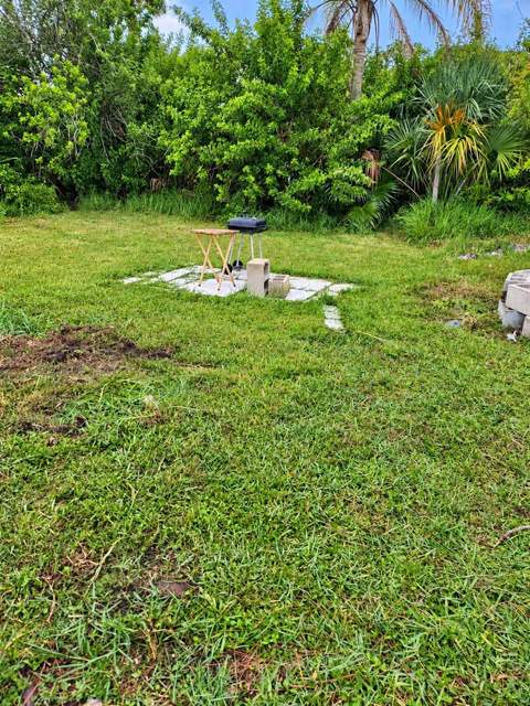 6615 Sandra Drive, Port Richey FL - photo 15 of 23