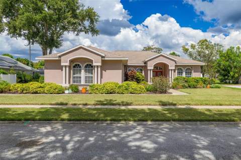 1555 Sunray Drive, Palm Harbor FL - photo 6 of 6