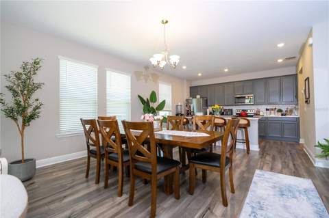 12362 Bracco Street, Winter Garden FL - photo 10 of 47