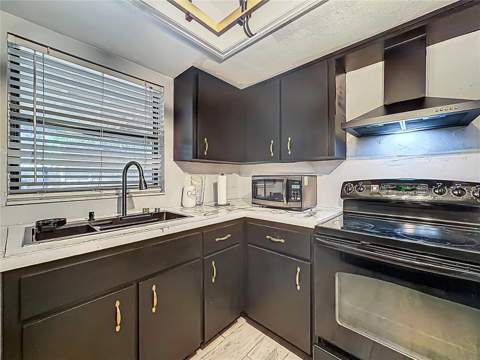 31427 Ghent Avenue, Mount Plymouth FL - photo 8 of 19