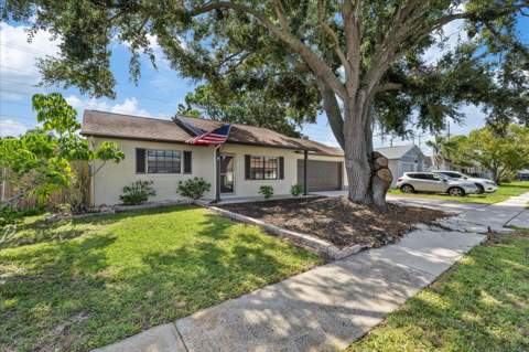 1310 Mandarin Drive, Holiday FL - photo 6 of 30
