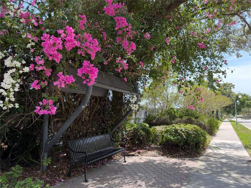 2 bedroom Condominium at 700 S Harbour Island Boulevard #512, Parkcrest Harbour Island Condo, Tampa — photo 5