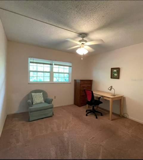 840 Virginia Street #303, Dunedin FL - photo 13 of 25
