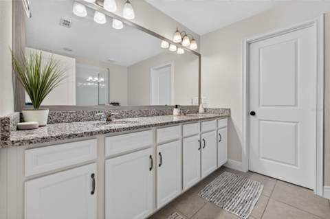 6231 Scarlet Darter Way, Tampa FL - photo 17 of 30