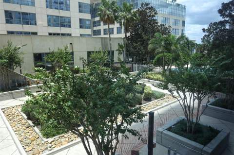 155 S Court Avenue #1102, Orlando FL - photo 23 of 56