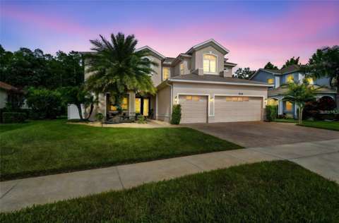 8542 Eagle Brook Drive, home for sale in Land O' Lakes 34638