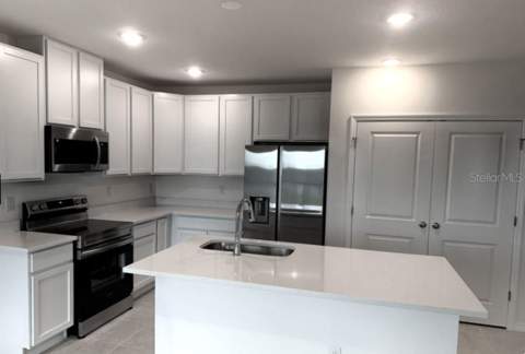 31571 Wild Grape Lane, Brooksville FL - photo 6 of 35