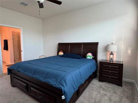 2756 Summer Retreat Lane, Kissimmee FL - photo 15 of 24